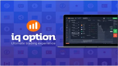 تقييم شركة اي كيو اوبشن