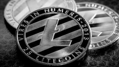 ما عي عملة LTC؟