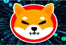 عملة شيبا اينو SHIBA INU