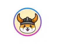 ما هي عملة Floki inu