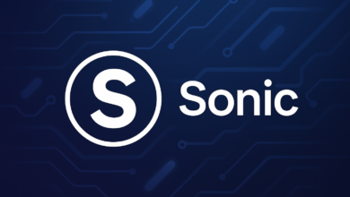 مشروع عملة S الرقمية