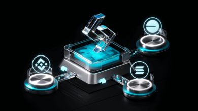 دليل برنامج Bitget Onchain